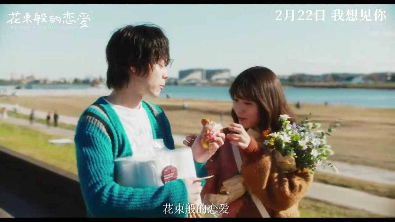 植物大战僵尸19